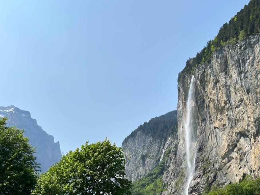 Chalet Maithili Lauterbrunnen -152-Year-Old Majestic Chalet Екстер'єр фото